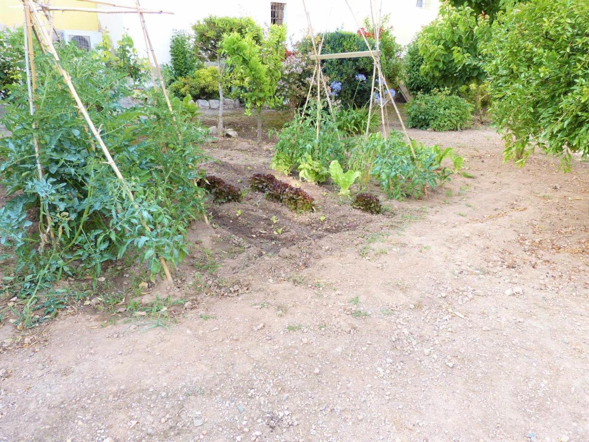 Hort de la Cinteta Villa Alcover Buitenkant foto