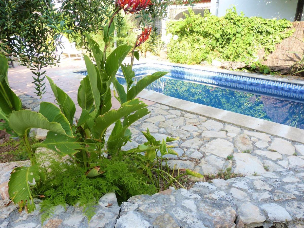 Hort de la Cinteta Villa Alcover Buitenkant foto