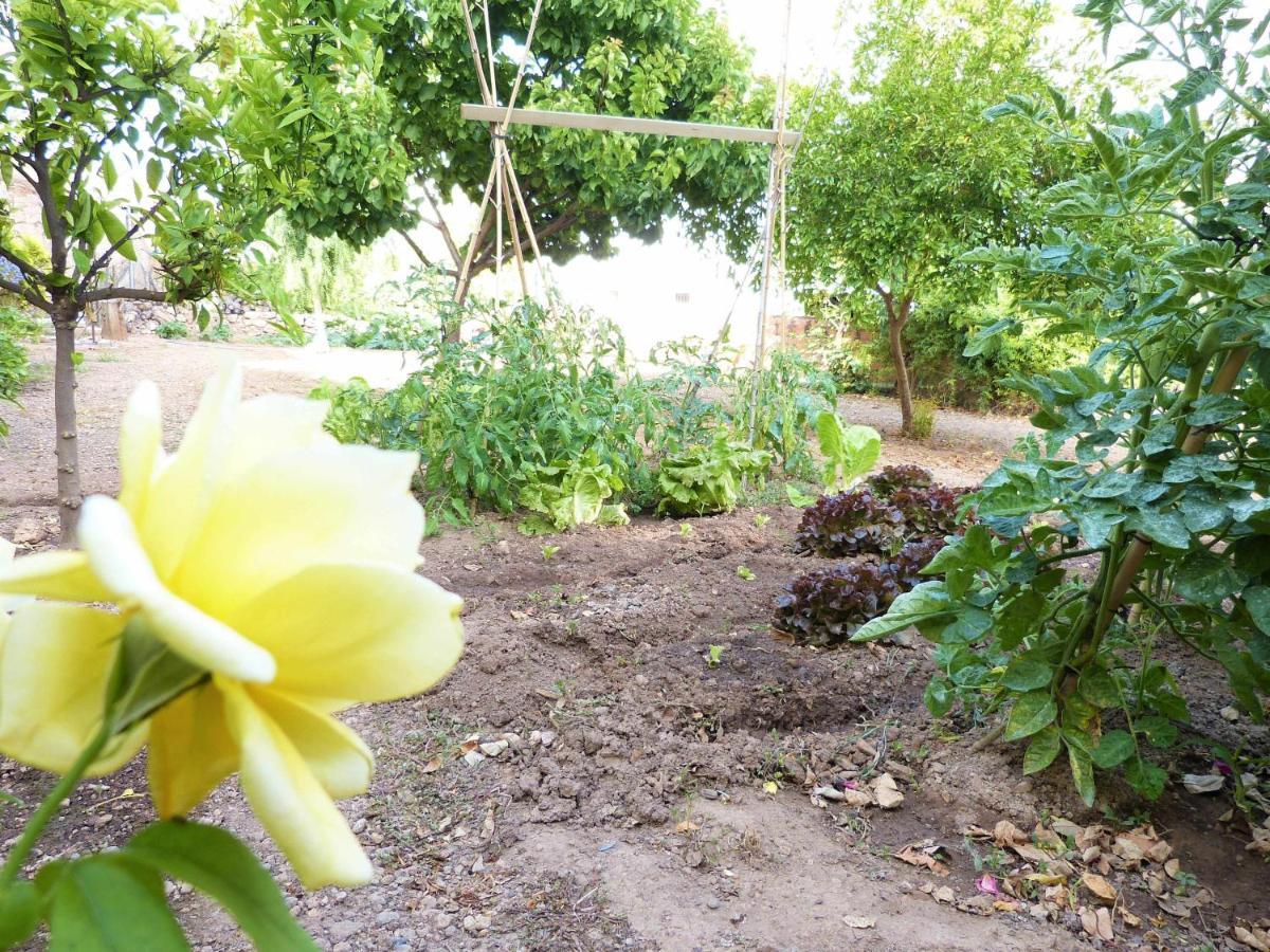 Hort de la Cinteta Villa Alcover Buitenkant foto
